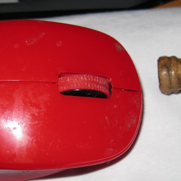 Indian Pipes from the mid west - Picture 7 of 16